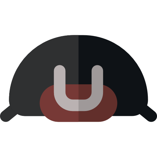 escarabajo Basic Rounded Flat icono