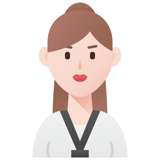 taekwondo Amethys Design Flat icoon