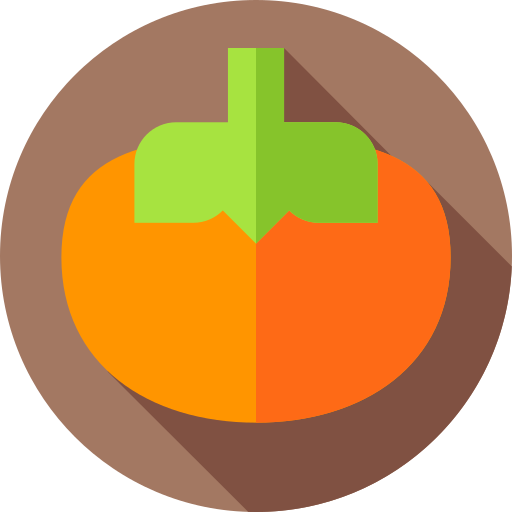 persimmon Flat Circular Flat icon