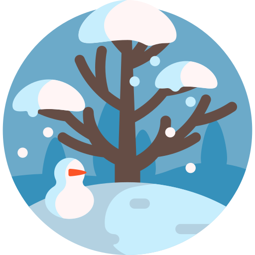 冬 Detailed Flat Circular Flat icon