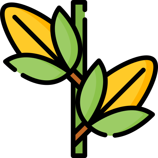 옥수수 Special Lineal color icon