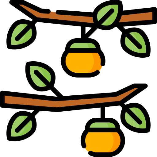persimmon Special Lineal color icon