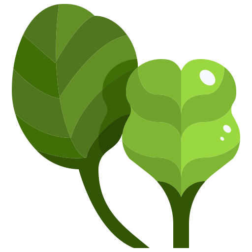 Spinach Justicon Flat icon