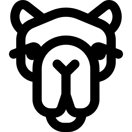 낙타 Basic Rounded Lineal icon