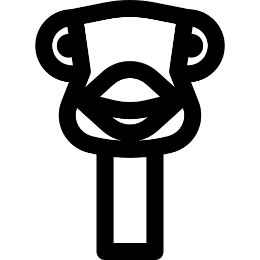 struś Basic Rounded Lineal ikona