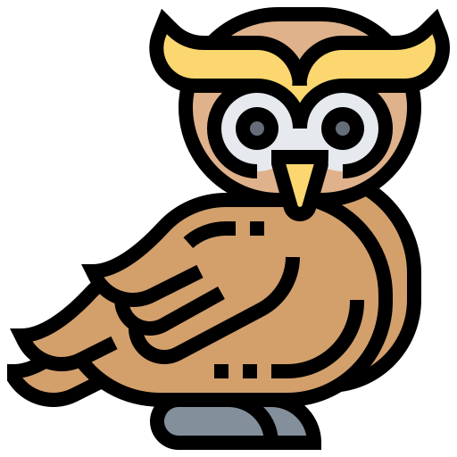 Owl Meticulous Lineal Color icon