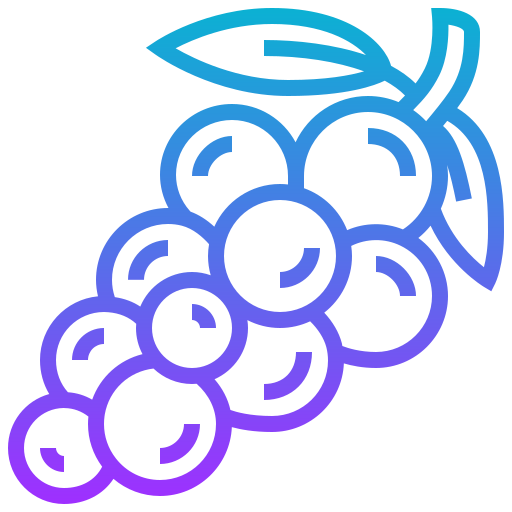 druiven Meticulous Gradient icoon