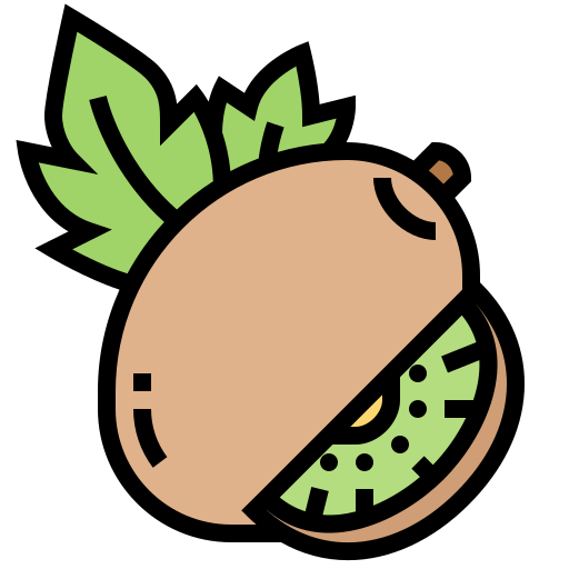 kiwi Meticulous Lineal Color icon