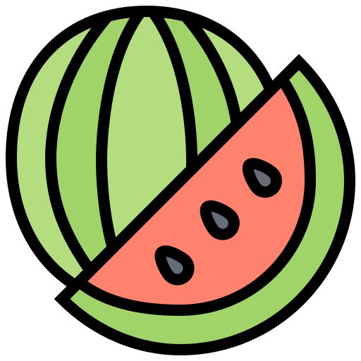 wassermelone Meticulous Lineal Color icon