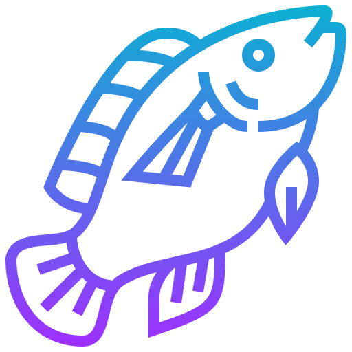 물고기 Meticulous Gradient icon