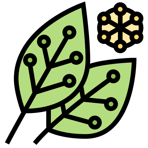 Leaf Meticulous Lineal Color icon