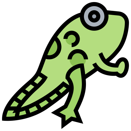 Tadpole Meticulous Lineal Color icon