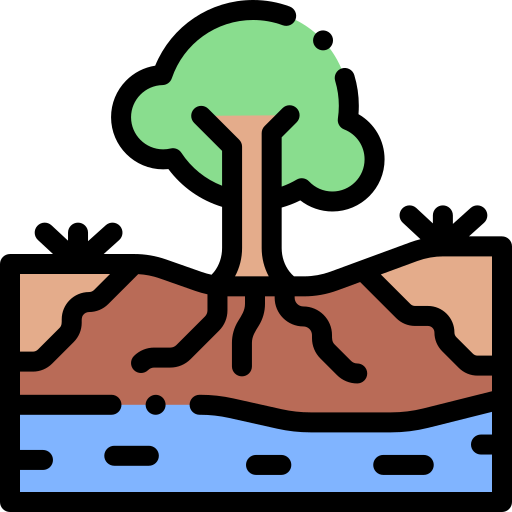 Forest Detailed Rounded Lineal color icon