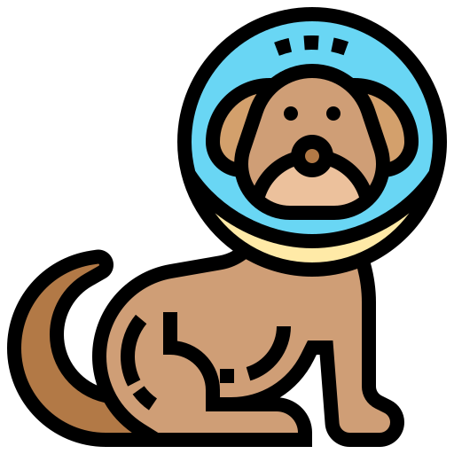 hund Meticulous Lineal Color icon