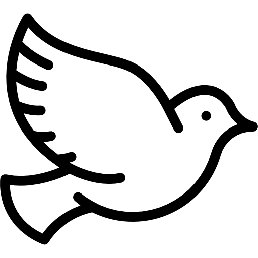piccione Special Lineal icona