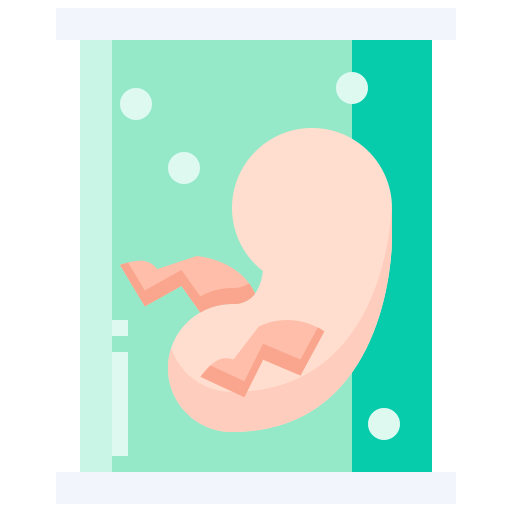 embrión Justicon Flat icono