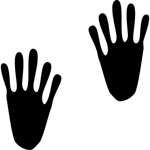 Animal footprints  icon