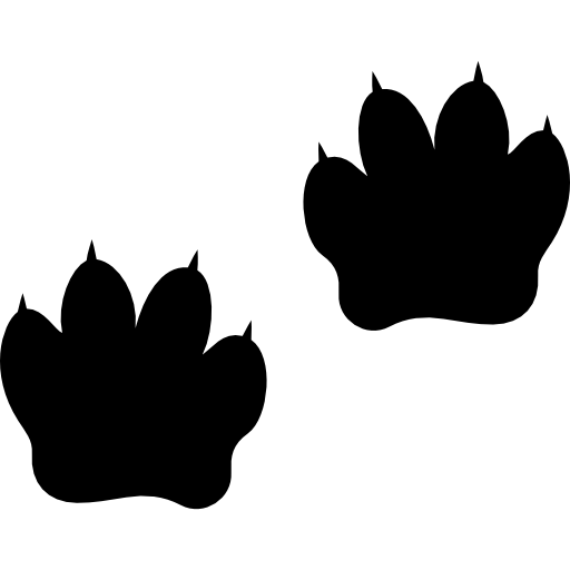 Pawprints  icon