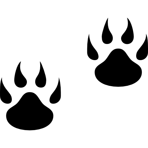 Pawprints  icon