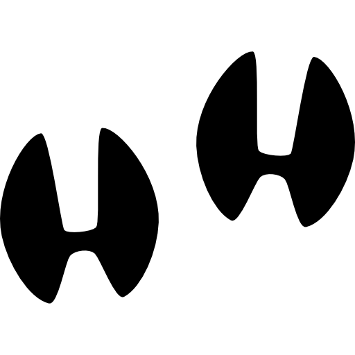 Hoofprints  icon