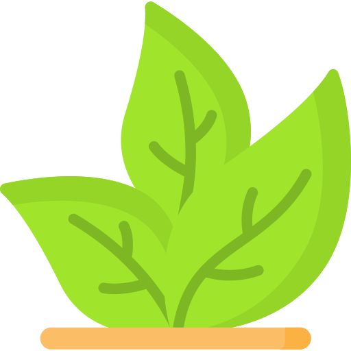 Eco Special Flat icon