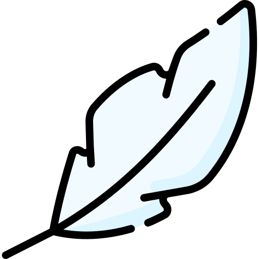 Feathers Special Lineal color icon