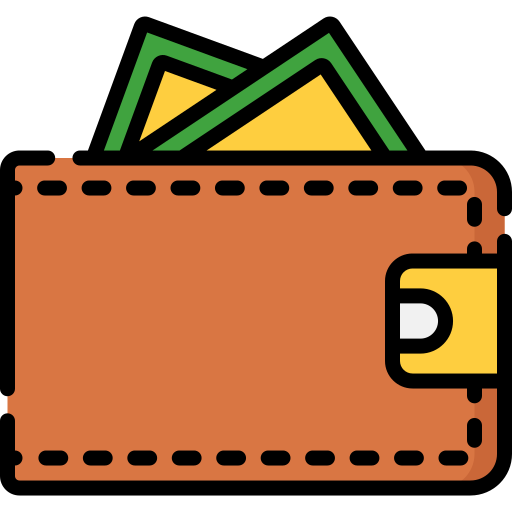 Wallet Special Lineal color icon