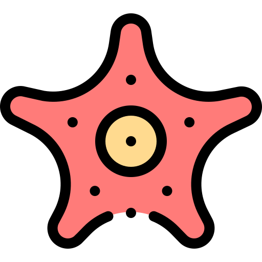 Starfish Detailed Rounded Lineal color icon