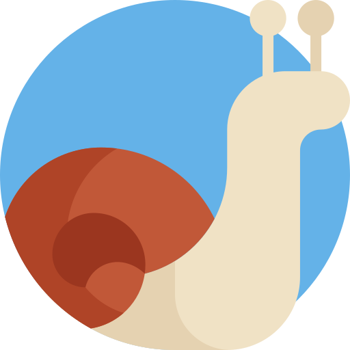 Snail Detailed Flat Circular Flat icon