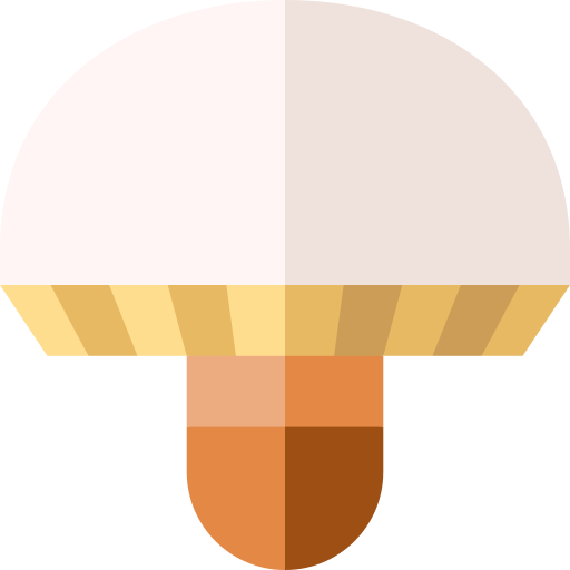 pilz Basic Straight Flat icon