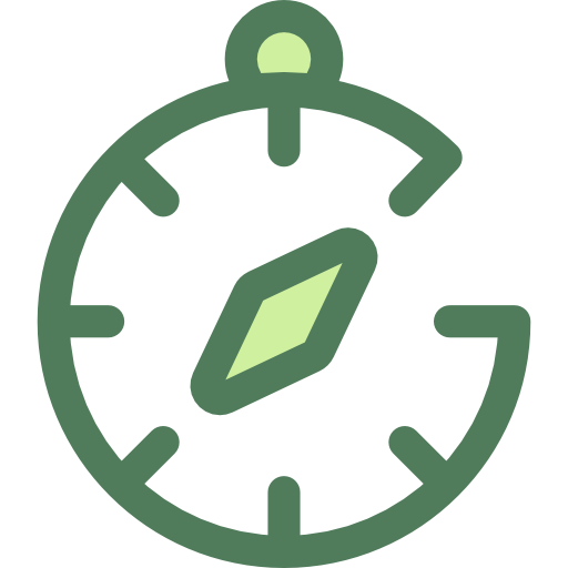 Compass Monochrome Green icon