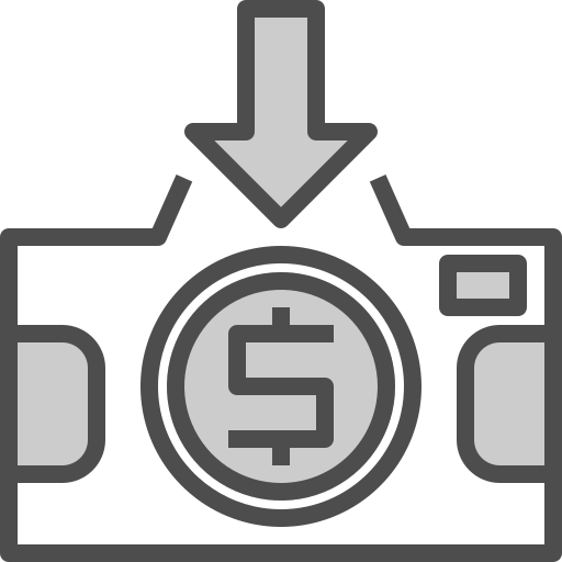 kamera Winnievizence Grey icon