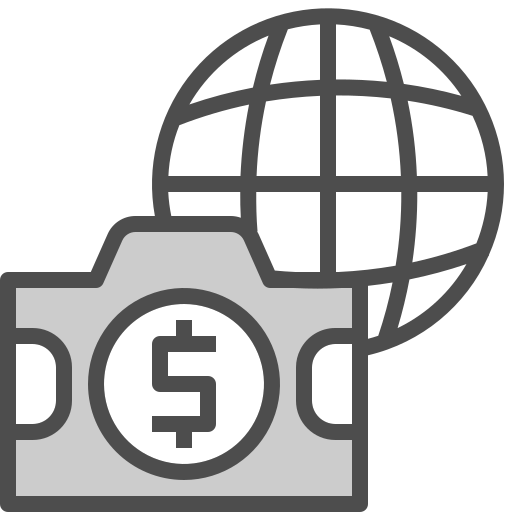 Camera Winnievizence Grey icon