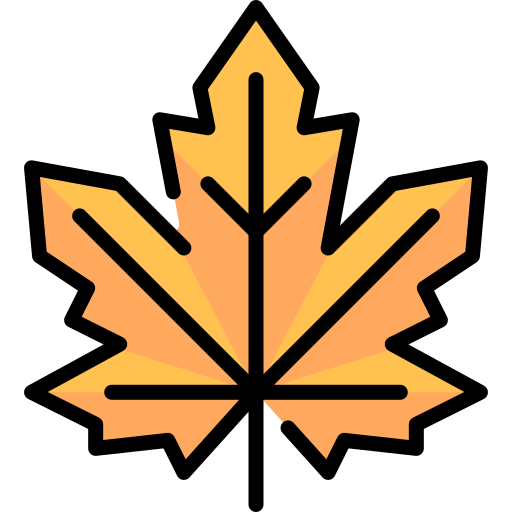 Maple leaf Special Lineal color icon