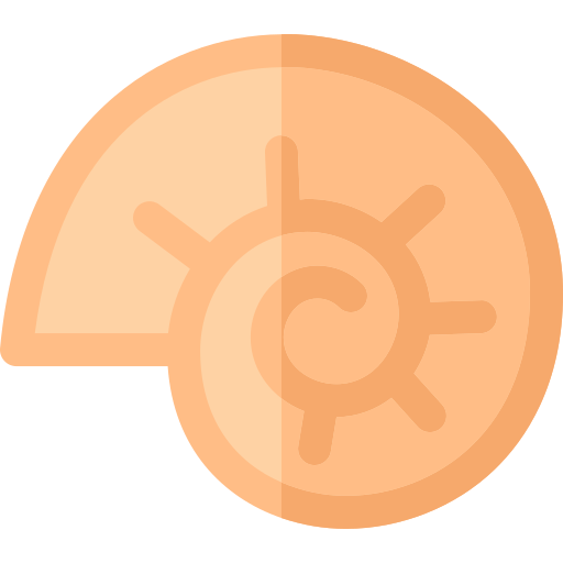 Concha Basic Rounded Flat icono