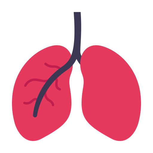 Lungs Victoruler Flat icon