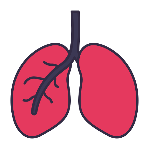肺 Victoruler Linear Colour icon