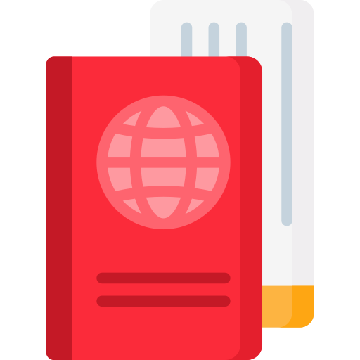 Заграничный пасспорт Special Flat иконка