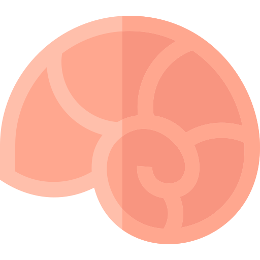 Sea snail Basic Straight Flat icon