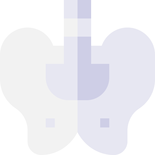 Pelvis Basic Straight Flat icono