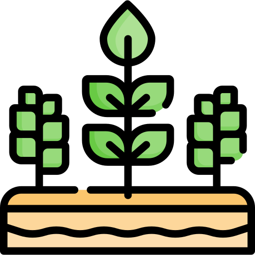 Plant Special Lineal color icon