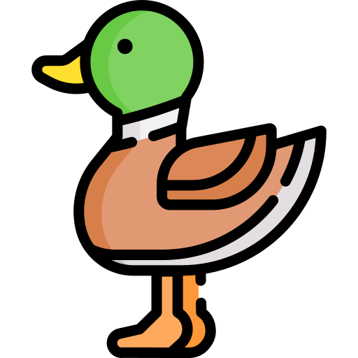 Pato Special Lineal color icono