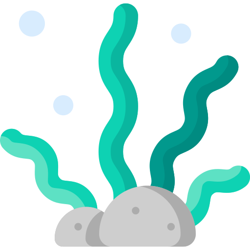 alga marina Special Flat icona