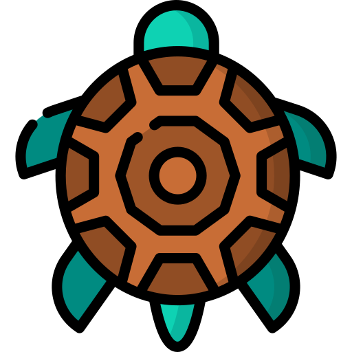 Tortoise Special Lineal color icon