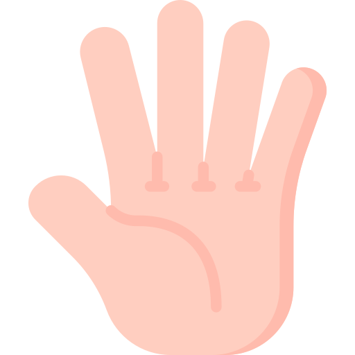 fünf finger Special Flat icon
