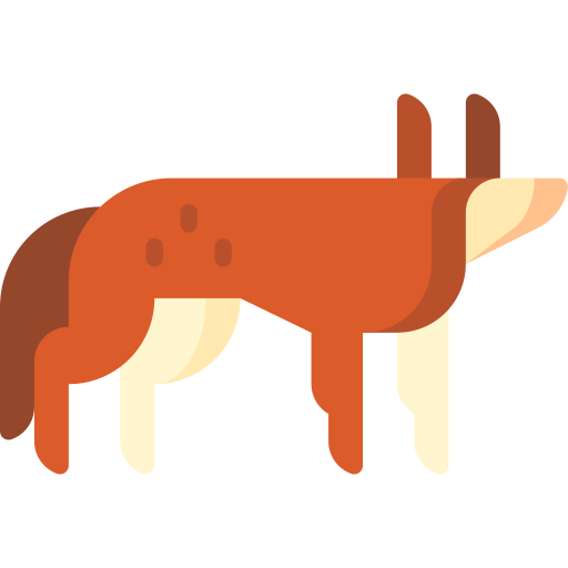 kojote Special Flat icon
