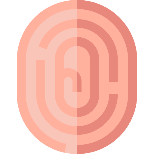 Fingerprint Basic Straight Flat icon