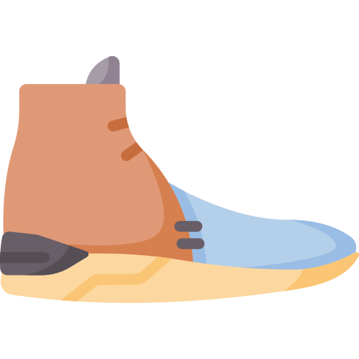 обувь Special Flat иконка