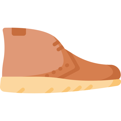 신발 Special Flat icon