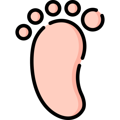 Footprints Special Lineal color icon